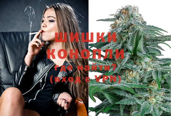 эйфоретик Вяземский