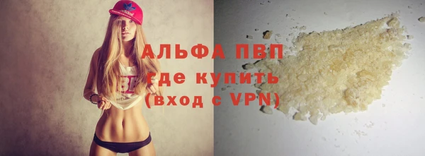 PSILOCYBIN Чегем