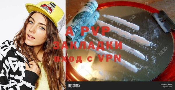 эйфоретик Вяземский