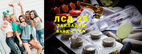 эйфоретик Вяземский