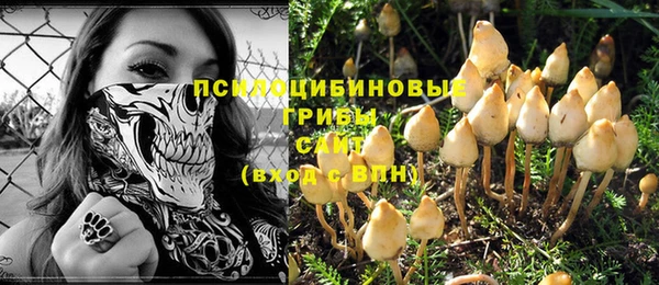 эйфоретик Вяземский
